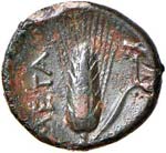 GRECHE - LUCANIA - Metaponto  - AE 15 - ... 