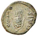 GRECHE - LUCANIA - Paestum  - AE 10 - Testa ... 