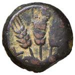 GRECHE - GIUDEA - Agrippa I (37-44) - Prutah ... 