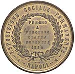 MEDAGLIE - CITTA - Napoli  - Medaglia 1884 ... 