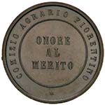 MEDAGLIE - CITTA - Firenze  - Medaglia   AE ... 