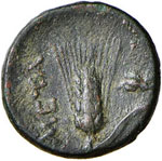 GRECHE - LUCANIA - Metaponto  - AE 16 - ... 