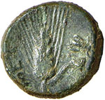 GRECHE - LUCANIA - Metaponto  - AE 12 - ... 