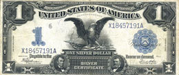 CARTAMONETA ESTERA - U.S.A.  - Dollaro 1899 ... 