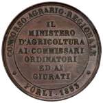 MEDAGLIE - CITTA - Forlì  - Medaglia 1883 ... 