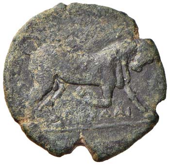 APULIA - OBOLO SNG. COP. 607  AE  ... 