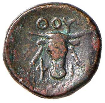 LUCANIA - KALKOS ATT III, 1263  AE ... 