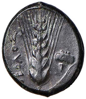 LUCANIA - OBOLO SNG.ANS. 554  AE  ... 