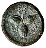 LUCANIA - OBOLO SNG.ANS. 562  AE  GR. 1,97  ... 