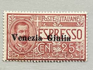 1919 -  VENEZIA GIULIA, Espressi, 25 c. ... 