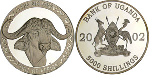 Ouganda - Buffle - 5000 shillings ... 