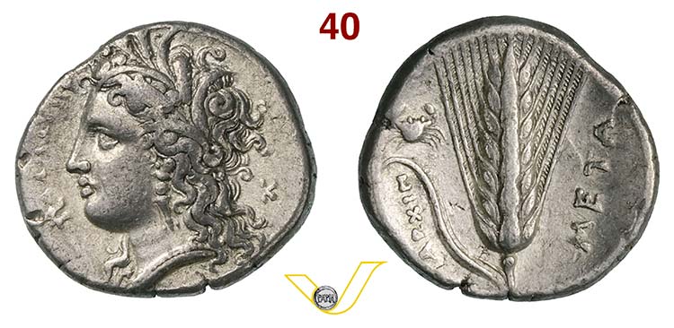 LUCANIA - Metapontum  (340-330 ... 