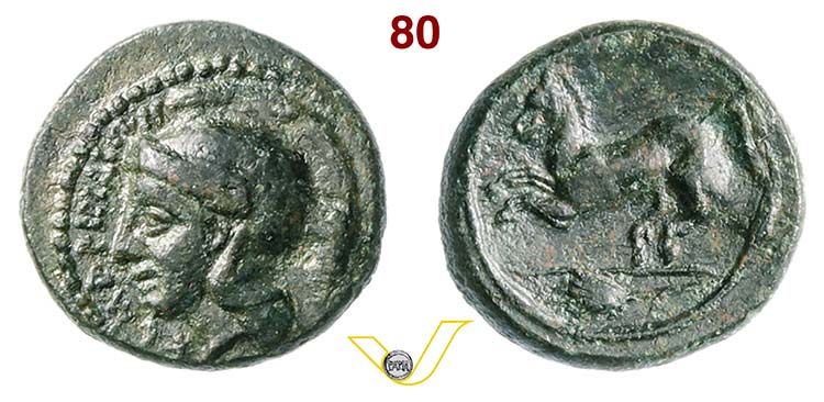 SICILIA - Kamarina  (339-317 a.C.) ... 