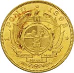 SUD AFRICA      Pound 1892.   Fb. ... 