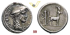 PLANCIA - Cn. Plancius  (55 a.C.)  Denario.  ... 