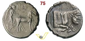 SICILIA - Gela  (490-475 a.C.)  Tetradracma. ... 