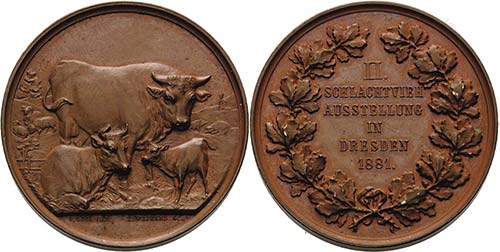 Dresden  Bronzemedaille 1881 (G. ... 