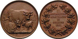 Dresden  Bronzemedaille 1881 (G. Loos/E. ... 