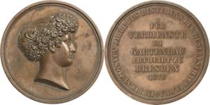 Dresden  Bronzemedaille 1878 (M. Barduleck) ... 