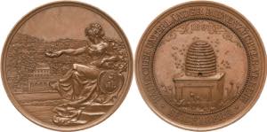 Heidelberg  Bronzemedaille 1891. ... 