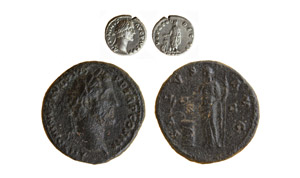 Lotto di 2 Esemplari di Antonino ... 