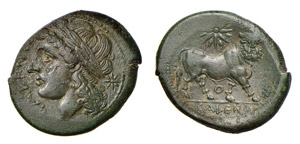 CAMPANIA - CALES (circa 317-270 a.C.) BRONZO ... 