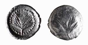 SICILIA - SELINUNTE (circa 480-465 a.C.) ... 