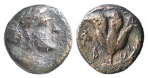 CARIA - RODI (350-300 a.C.) AE 10 gr.8,0 - ... 