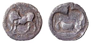 LUCANIA - SYBARI  (530-510 a.C.)  STATERE ... 