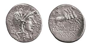 CIPIA (115-114 a.C.) M.Cipius M.f. - DENARIO ... 