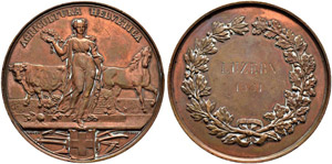 LUZERN - Bronzemedaille 1881. ... 