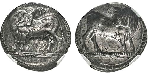 Lucanie Sibari 550-510 avant J. C. ... 